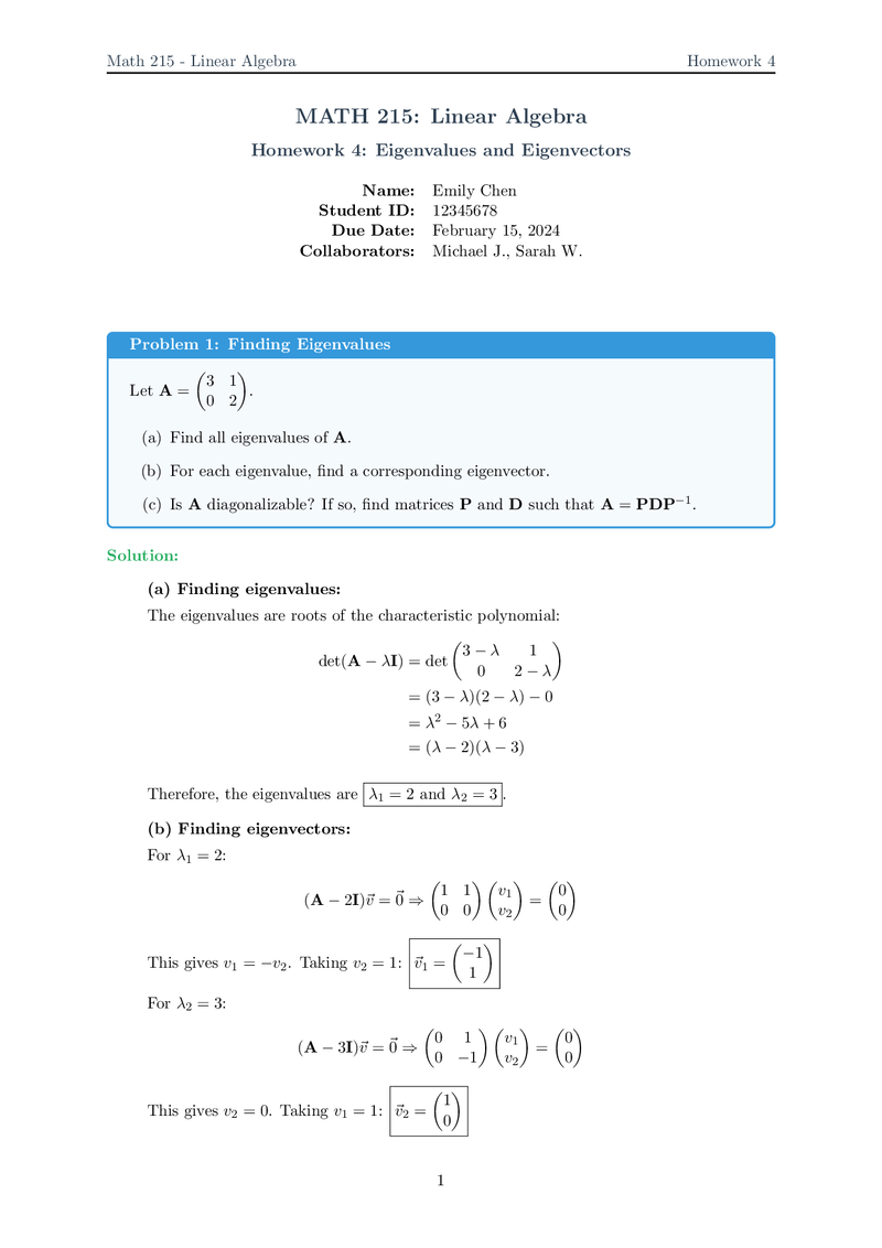 Homework Template Preview